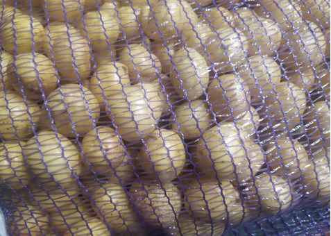 Картофель сорт Рэд, Гала сетки по 25кг