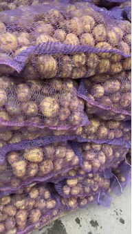 Картофель белый в сетке Гала (25кг) (Россия) калибр 40-50мм