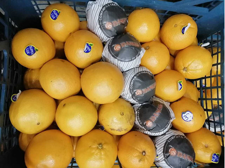 Апельсин калибр 6-7см (Иран) (сорт Португалия)