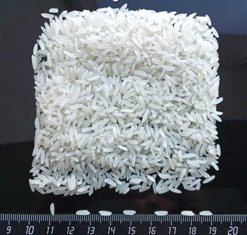 Рис круглозерный и длиннозерный 50кг/шт