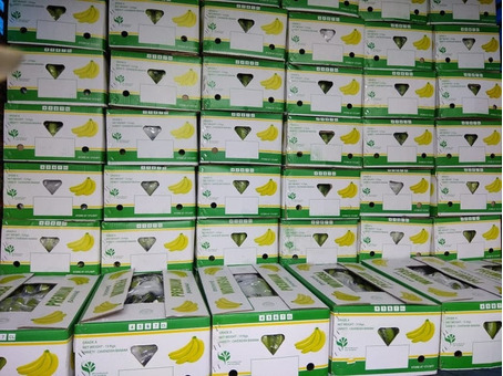 Бананы зеленые (Эквадор) (сорт Кавендиш) 19,5кг/шт