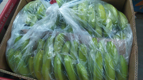Бананы зеленые (Эквадор) (сорт Кавендиш) 19,5кг/шт