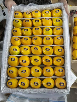 Лимон первый сорт (Турция) 5см, 5кг/шт