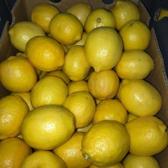 Лимон второй сорт (Турция) 6см, 10кг/шт