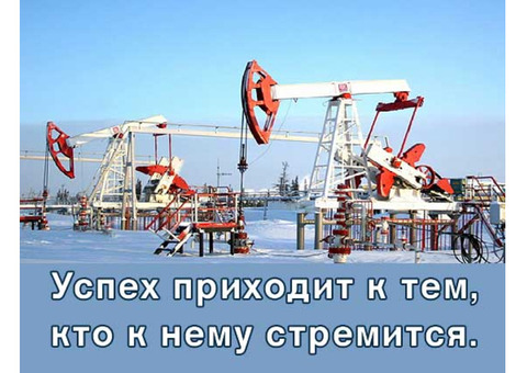 Интерпретация сейсморазведки, подсчет запасов нефти