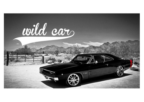 Wild Car. Профессиональная помощь в выборе автомобиля.