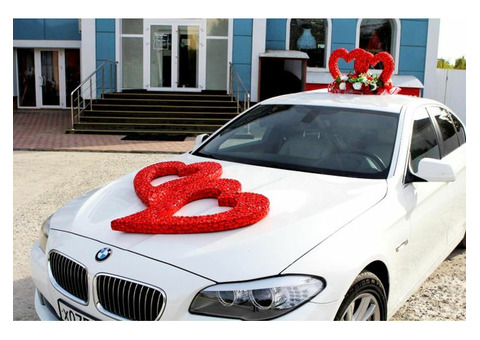 Прокат авто на свадьбу БМВ 5 серии (цвет белый)
