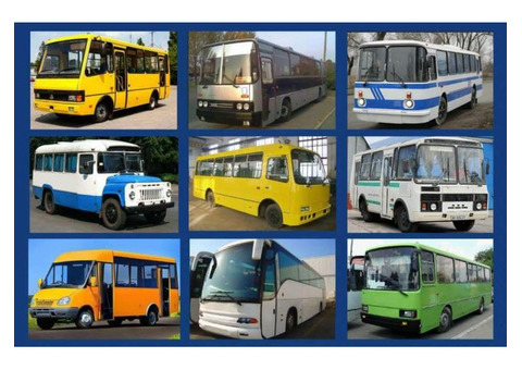 Услуги по ремонту автобусов, грузовиков,микроавтобусов и спецтехники