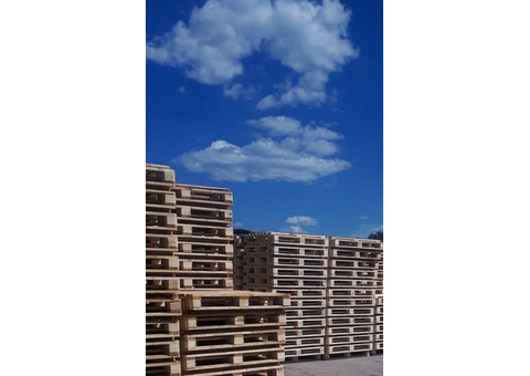 Производство и продажа деревянных поддонов.