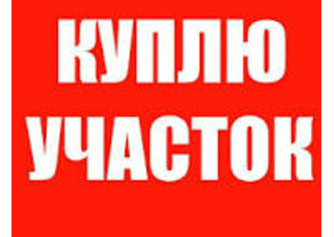 Куплю земельный участок в пригороде или в деревне