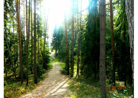 Земельный участок, 19 сот., ЛО, Лужский район