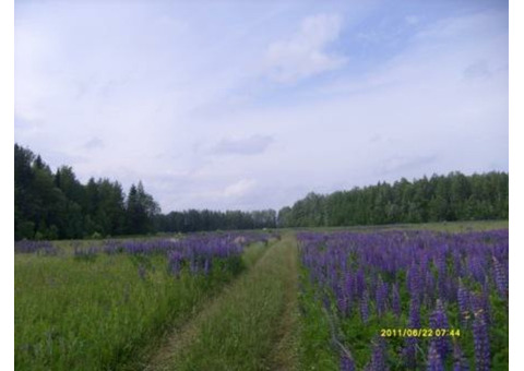 Земля 3, 5 га. в районе Белогорского монастыря. Кунгурский р-н.