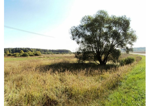 3,32 Га в деревне Авдотьино, асфальт, свет, река.