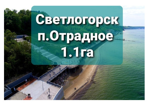 Участок 1.1га у моря