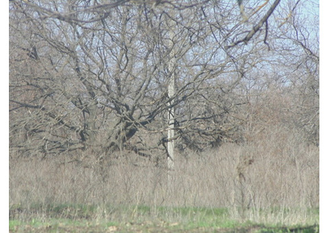 Земельный участок срочна дешево