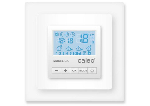 Терморегулятор Caleo 920 с адаптерами