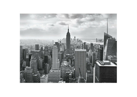 Фотообои бумажные Komar NYC Black And White 8-323 3,68х2,54 м