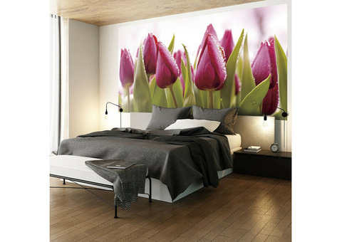 Фотообои виниловые на флизелиновой основе Decocode Голландские тюльпаны 13-0525-FR 2,5х1,3 м