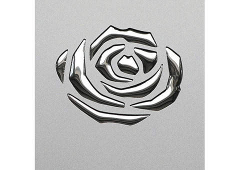 Стеновая панель Sibu Punch Line 3D Roses Silver PF met Silver 2600х1000 мм