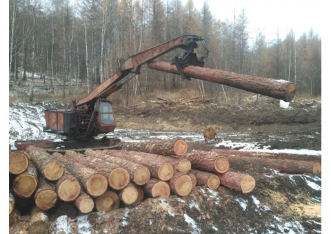 Продам кряж алтайской лиственницы.