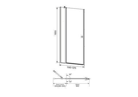 Душевая дверь Iddis Ray RAY6CP2i69 1200x1950 мм