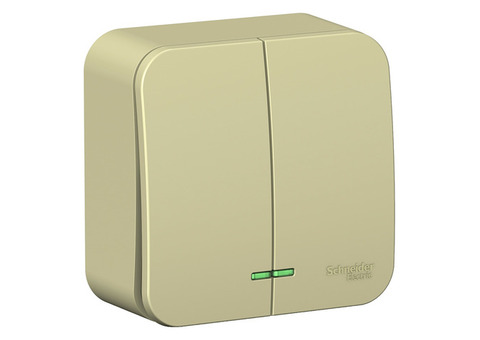 Выключатель Schneider Electric Blanca BLNVA105117 двухклавишный 10 А IP 20