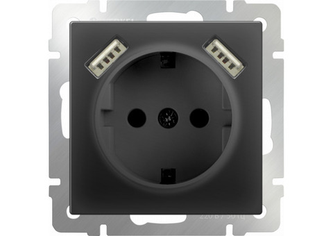 Механизм розетки Werkel WL08-SKGS-USBx2-IP20 одноместный с USBх2 с заземлением и защитными шторкам черный