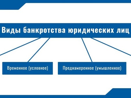 Банкротство граждан : понятие, причины, процесс признания физического лица банкротом, понятие банкротства гражданина .