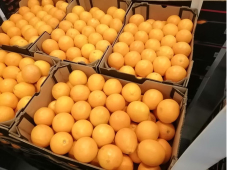 Апельсин для сока (ЮАР) (сорт Вашингтон) 6-7см 15кг/шт