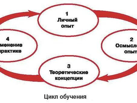 Курсы SEO для начинающих - стань SEO-специалистом, обучения продвижения сайтов .