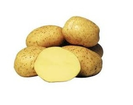 Картофель Египет Вес 1 коробки - кг по оптовым ценам