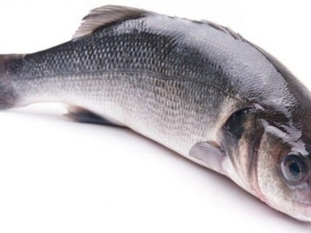 Рыба Сибас 300-400 г охл по оптовым ценам