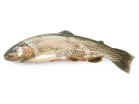 Рыба Форель б/г 1,8-2,7 кг с/м по оптовым ценам