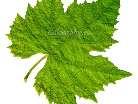 Виноградные Листья Вес 1 коробки - 7 кг по оптовым ценам