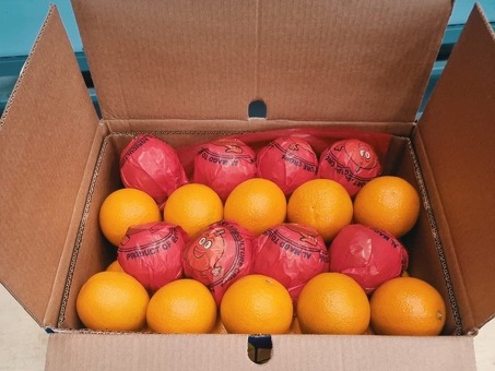 Апельсин сорт Валенсия (Египет) 60/70, 15кг, кг