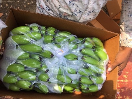 Бананы зеленые сорт Кавендиш (Эквадор) 19,5кг, кг