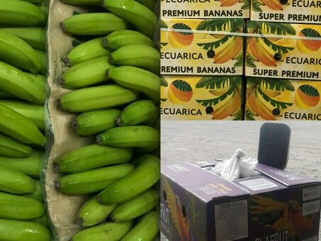 Бананы зеленые сорт Кавендиш (Эквадор) 19,5кг, кг