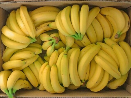 Бананы желтые сорт Кавендиш (Эквадор) 19,5кг, кг