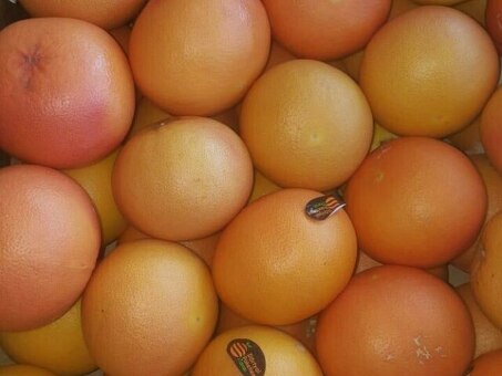 Грейпфрут красный сорт Рио Ред (ЮАР) 80/90, 15кг, кг