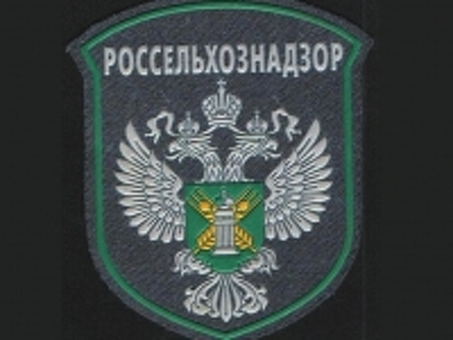 В России резко упали цены на  свинину - | Новости, сдача мяса свинины .