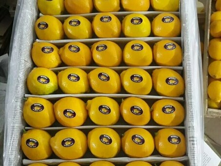 Лимон сорт Лисбон (Турция) 60/70, 10кг, кг