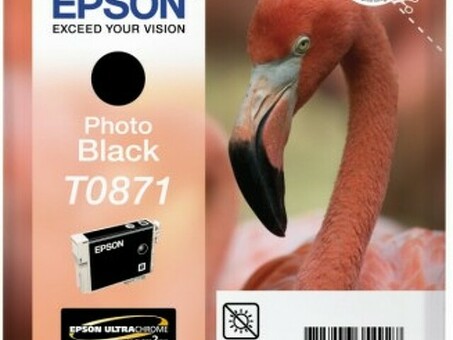 Картридж Epson T0871 ( photo black ) (C13T08714010)