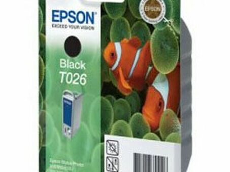 Картридж Epson с черными чернилами I/C black Stylus Photo 810 (C13T02640110)