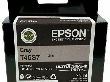 Картридж Epson UltraChrome Pro 10 Ink T46S7 (gray), 25 мл (C13T46S700)