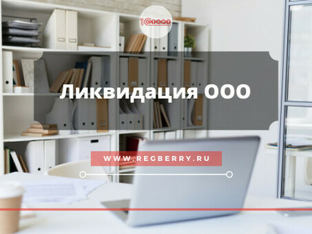 Удаление, ликвидация, банкротство — насколько безопасно для владельца прекратить юридическое существование компании и закрыть или продать ООО?