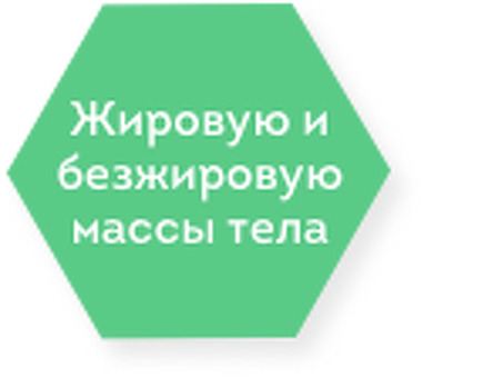 Версия многофункционального веса «Keito K8» ｜ Med i-Telecom и Keito K8 Устройство в Казахстан е-Medirecom.