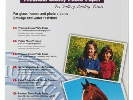 Бумага Epson Premium Glossy Photo Paper, глянцевая, A3+ (329 x 483 мм), 255 г/кв.м (20 листов) (C13S041316)