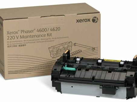 Xerox восстановительный комплект для Phaser 4600, 4620, 150000 стр. (115R00070)