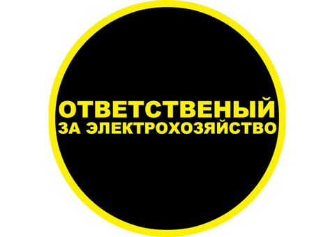 Ответственный за электрохозяйство