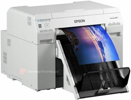 Минифотолаборатория Epson Surelab SL-D800 (C11CH75301CX)